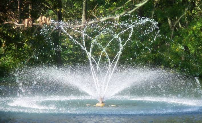 Water Show