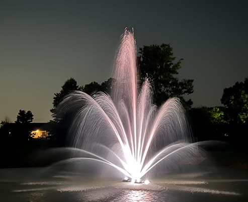 Water Show